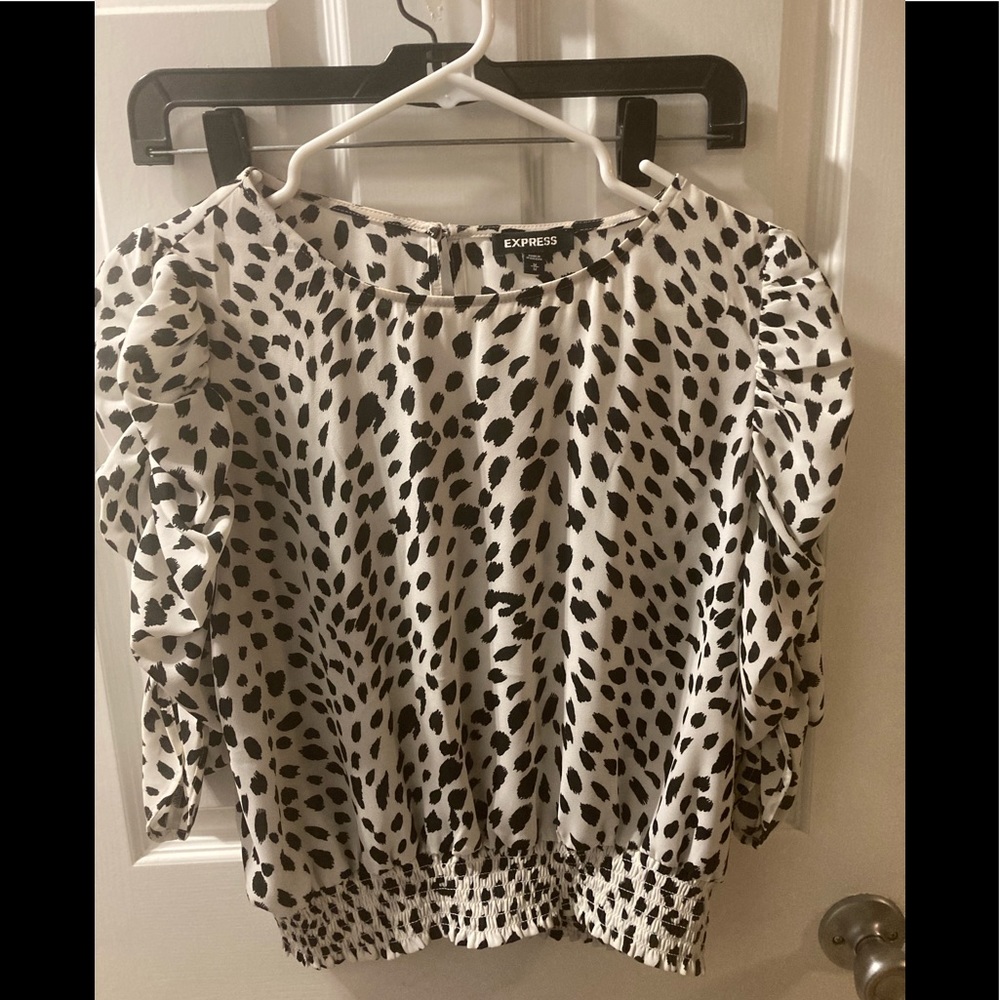 Express dress shirt